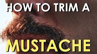 How to Trim Your Mustache | The Art of Manliness